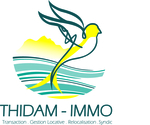 Logo agence immobilière Thidam Immo