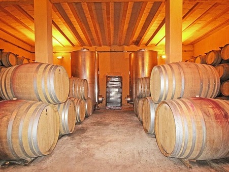 vente viticole NARBONNE 1585000 €