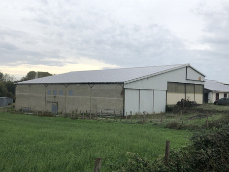vente professionnel ST-JEAN D'ANGELY  296 800  € 1459 m²