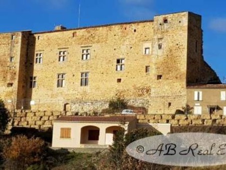 vente chateau Carcassonne  995 000  € 300 m²