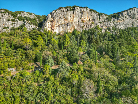 Vente terrain Saint-Bauzille-de-Putois 12 000  €
