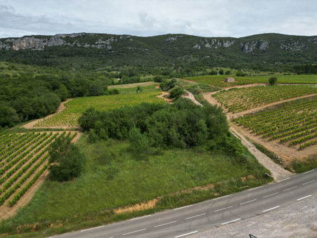 Vente terrain Saint-Bauzille-de-Putois 29 000  €