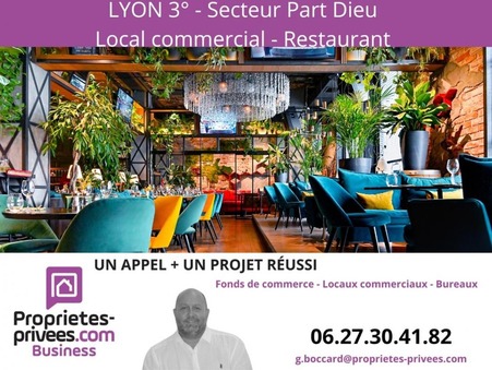 location professionnel Lyon 3eme Arrondissement 4583 €