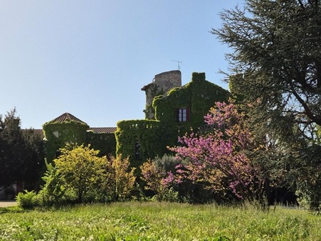 vente chateau Avignon 1 245 000  € 580 m²