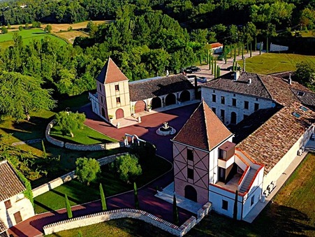 vente de maison Gaillac 3 650 000  € 984 m²