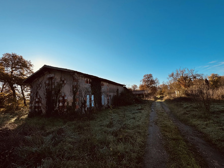 A vendre maison Saint-LoubÃ¨s  424 000  €