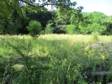 Achat terrain Montendre 34 500  €