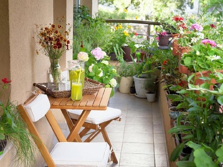 vente appartement MEZE 209000 €