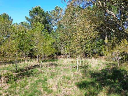 Vente terrain Seignosse  840 000  €