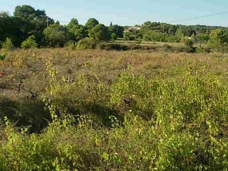vente terrain CLERMONT L'HERAULT 250000 €
