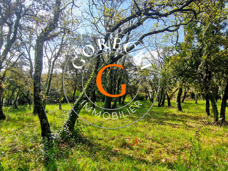 Vente terrain Saint-Siffret  170 000  €