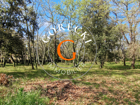 A vendre terrain Saint-Siffret  205 000  €