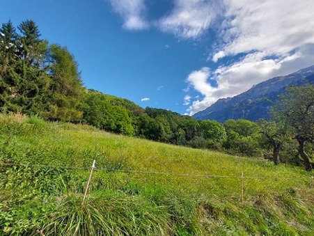 vente terrain VAUJANY  395 000  € 2800 m²