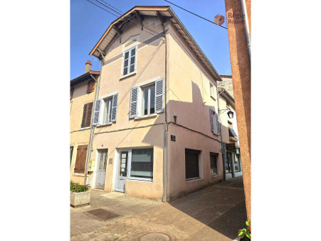 Vends immeuble ANSE  389 500  €