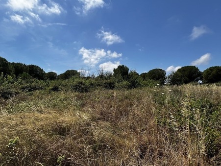 Achat terrain MARSEILLAN 15 000  €