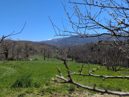 vente maison SERRES SUR ARGET 77350 €