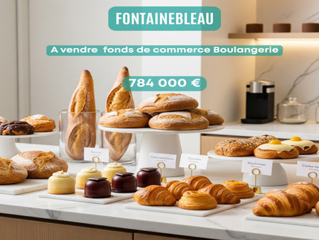 vente local Fontainebleau 784000 €