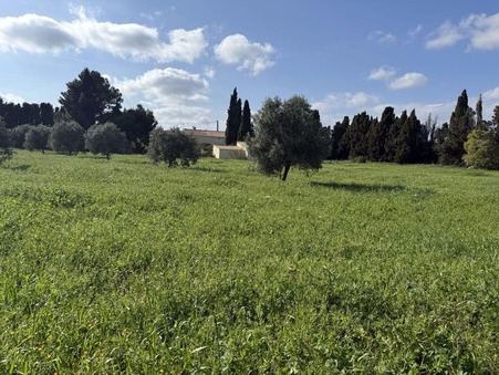 A vendre maison ARGELIERS  273 000  €