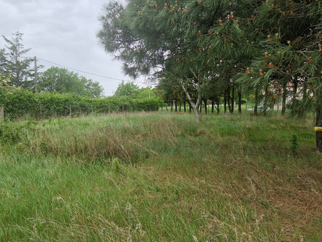 vente terrain Saint-Rustice 110000 €