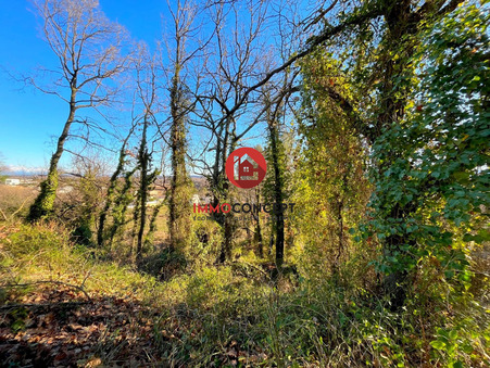 Acheter terrain Laudun l'Ardoise 64 000  €