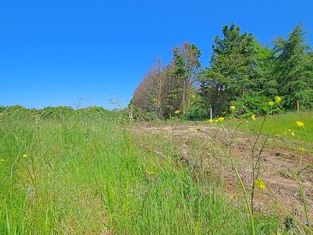 Achète terrain L'ILE D'OLONNE  149 900  €