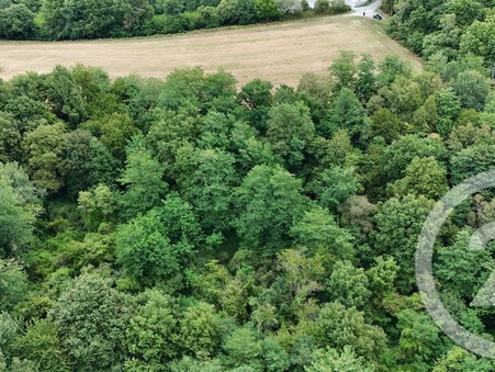 Vente terrain salies de bearn 33 500  €