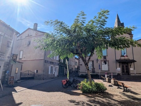 Vendre maison MONESTIES  347 000  €