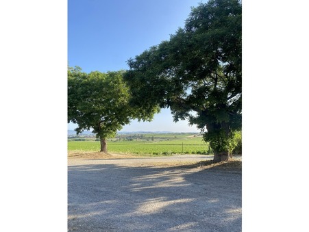 location maison PAILHES 1050 €