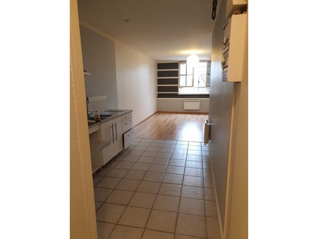 location appartement PUYLAURENS 460 €