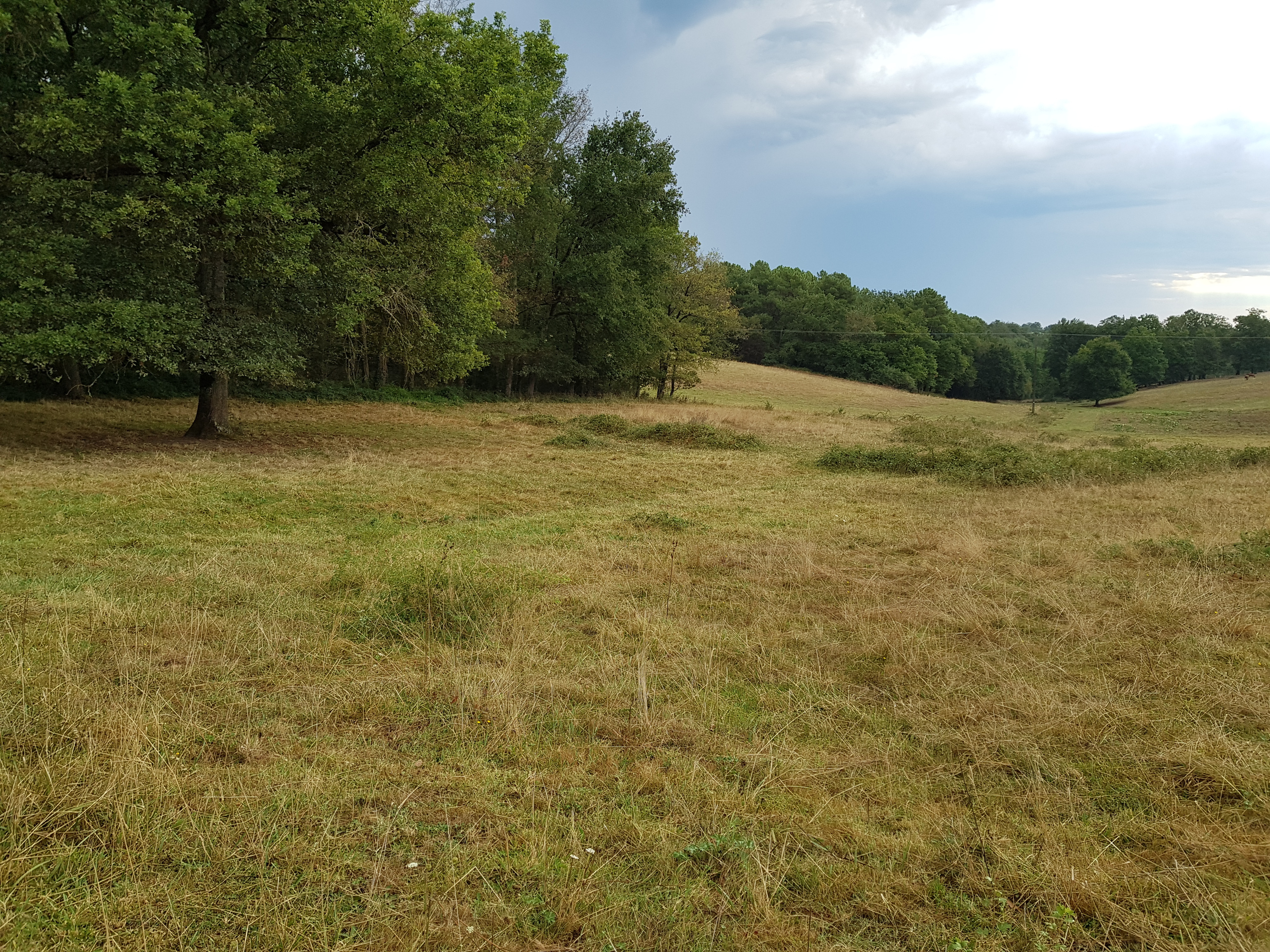 Main Photo of a Land for sale