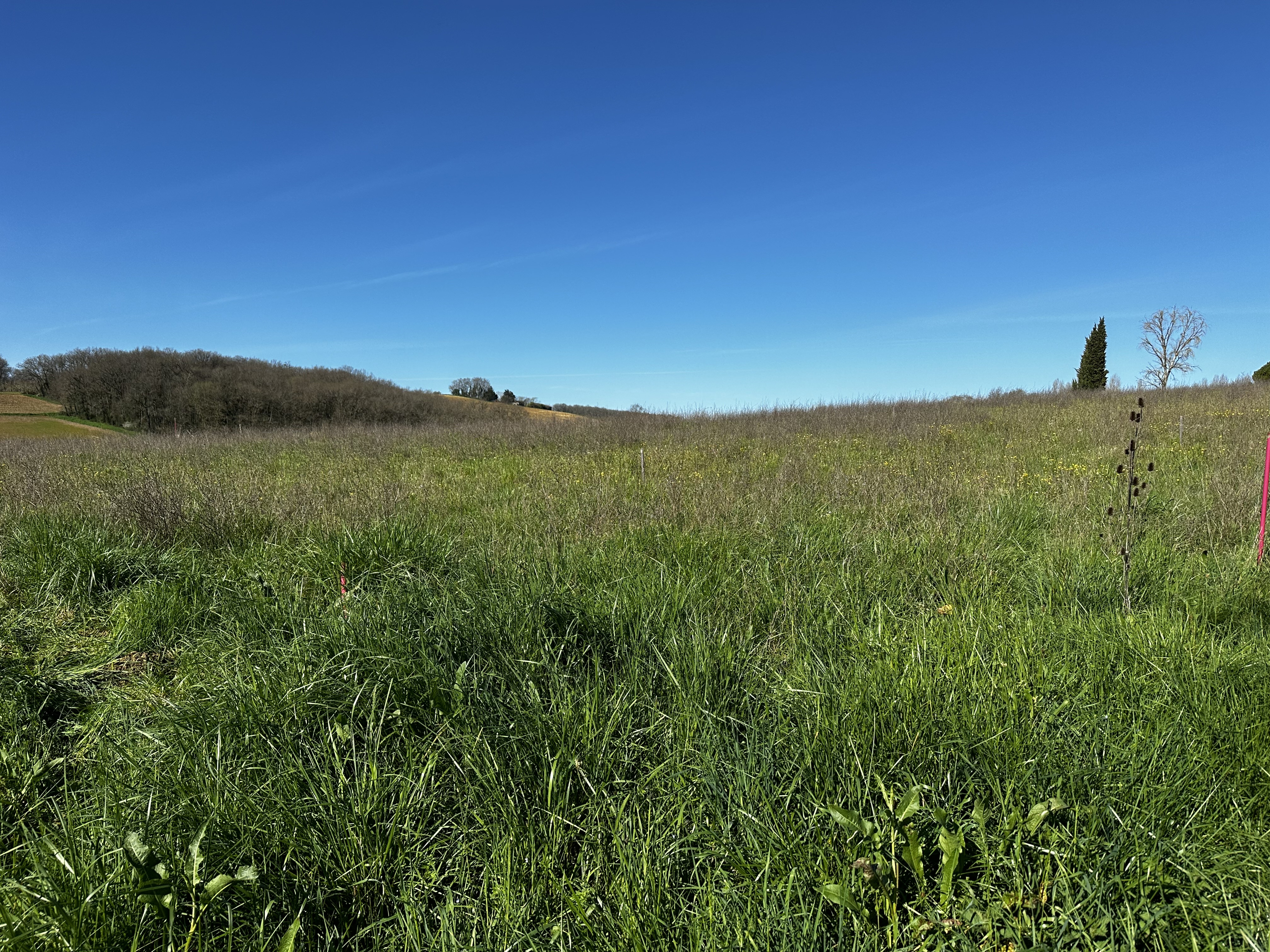 Main Photo of a Land for sale