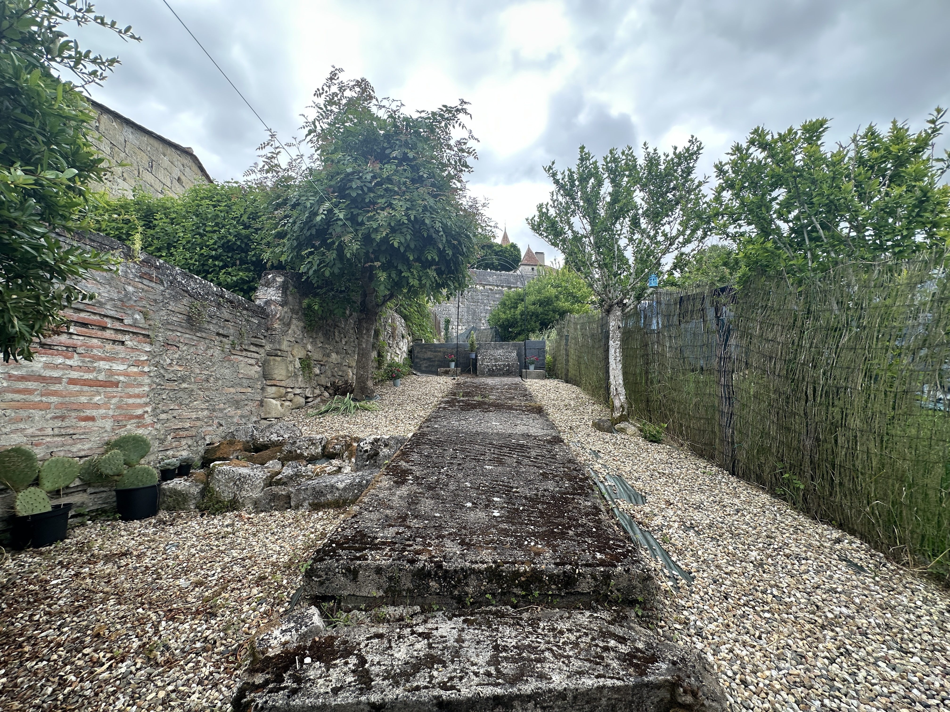 Main Photo