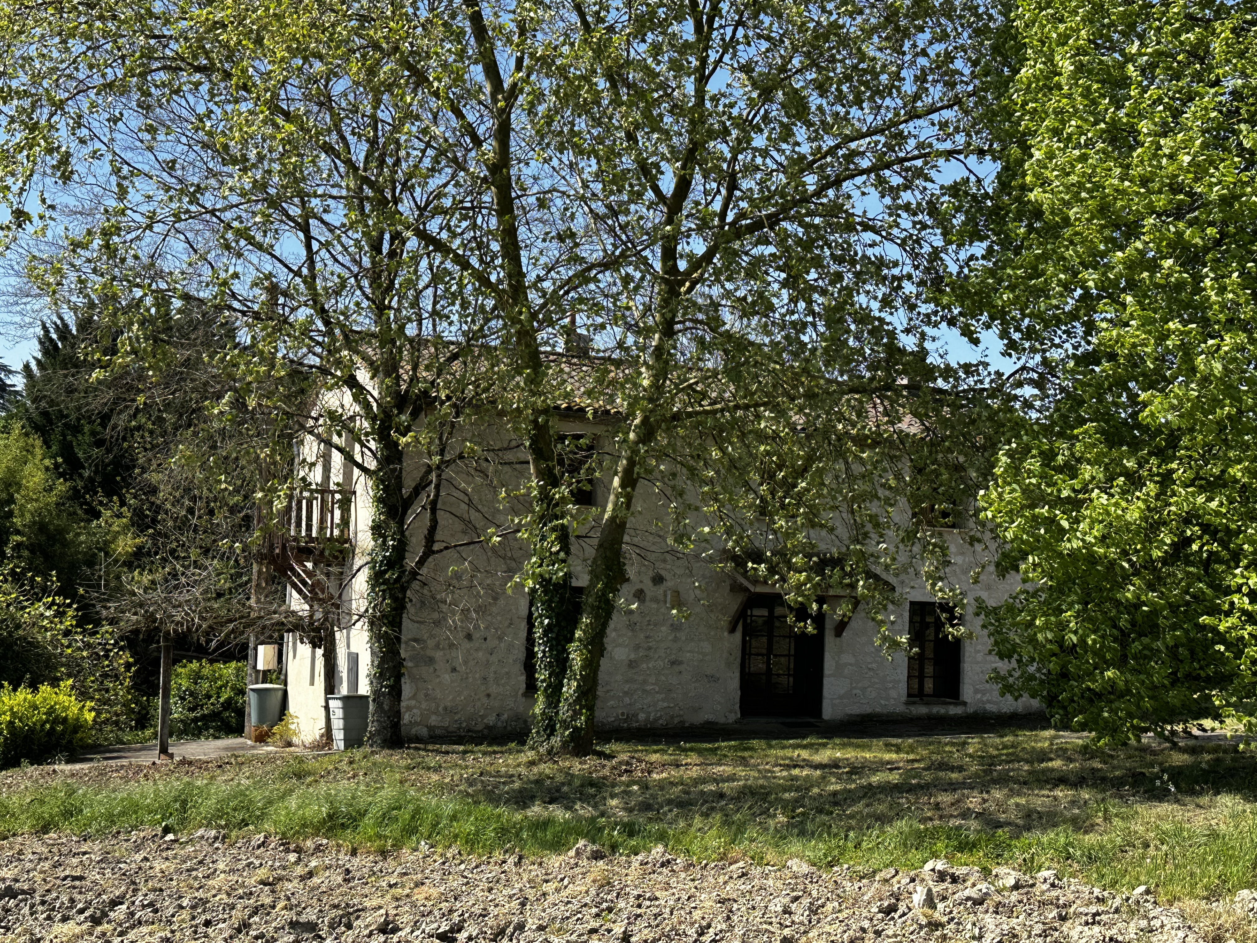 Main Photo