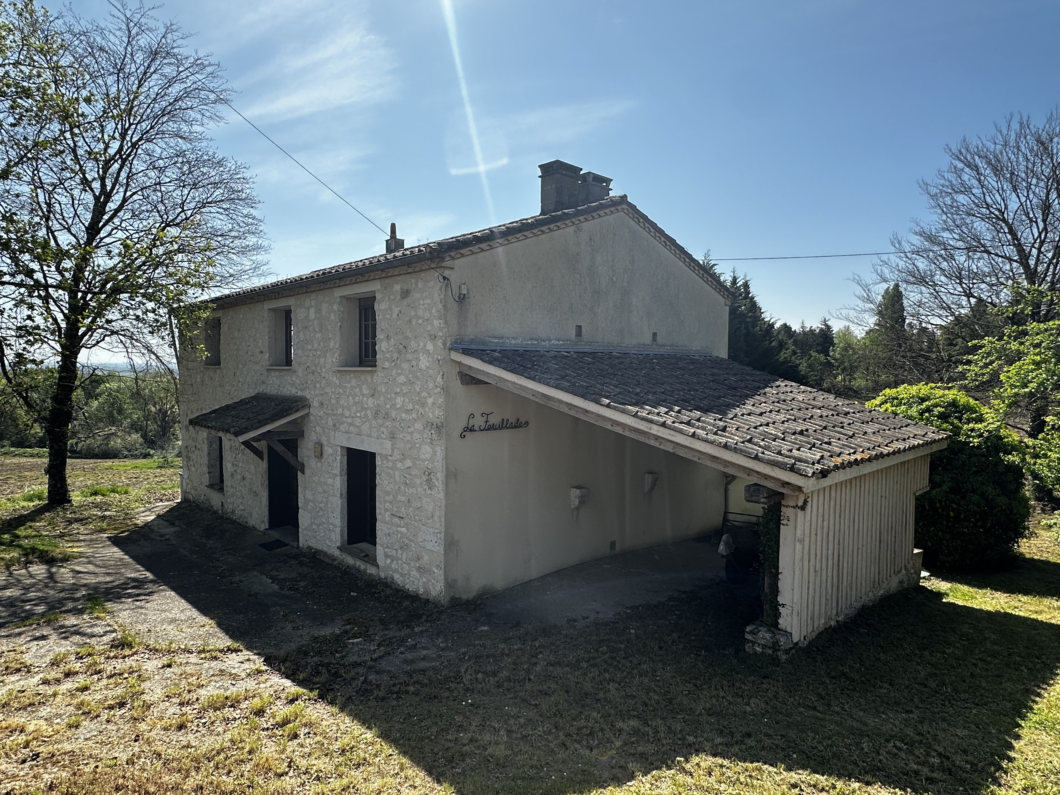 Main Photo