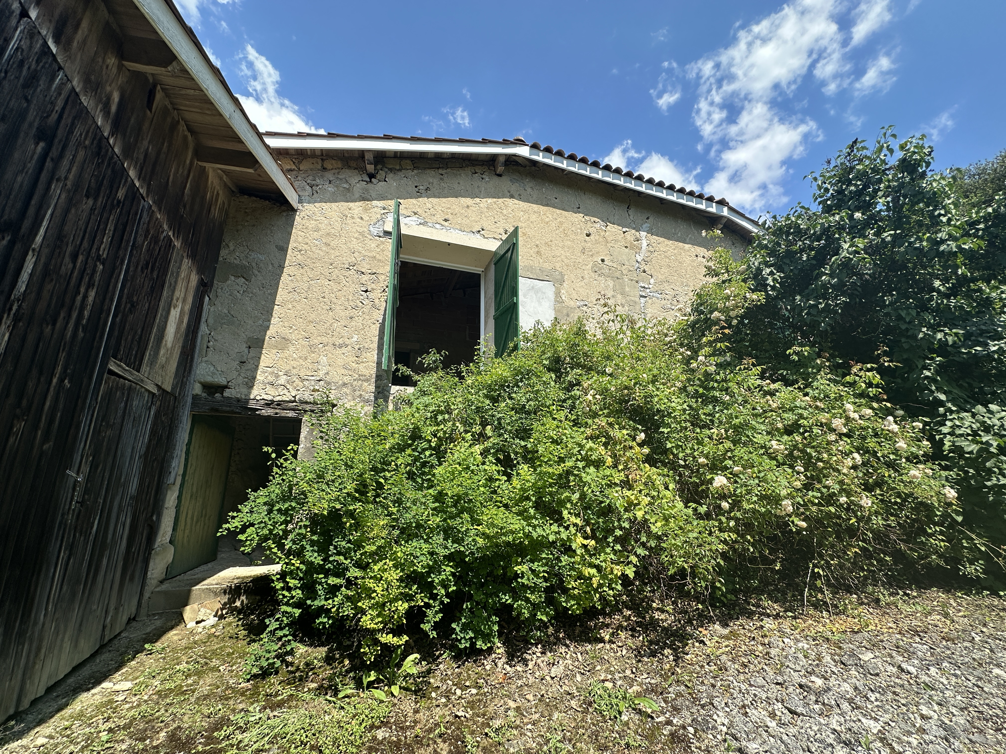 Main Photo