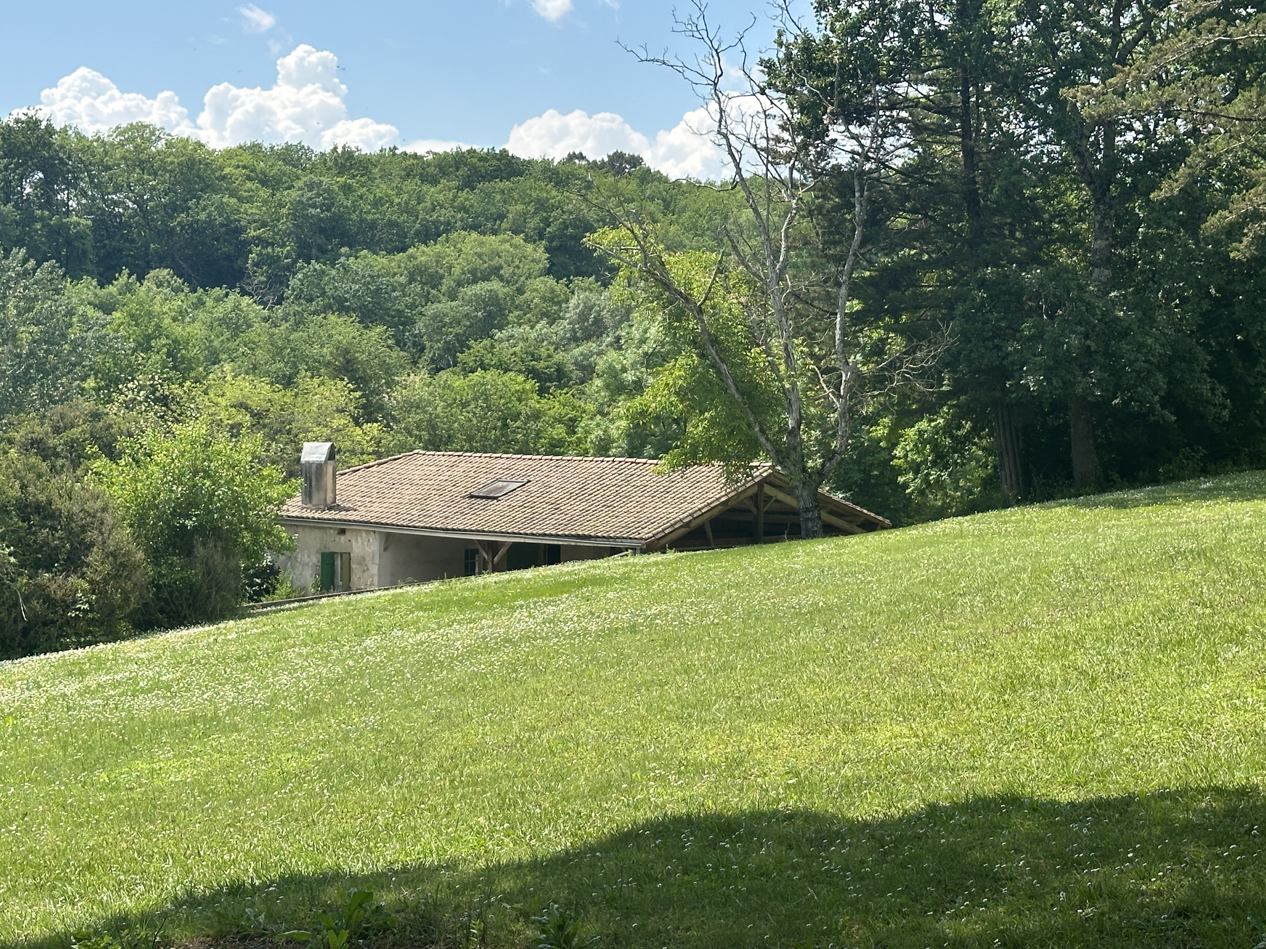 Main Photo
