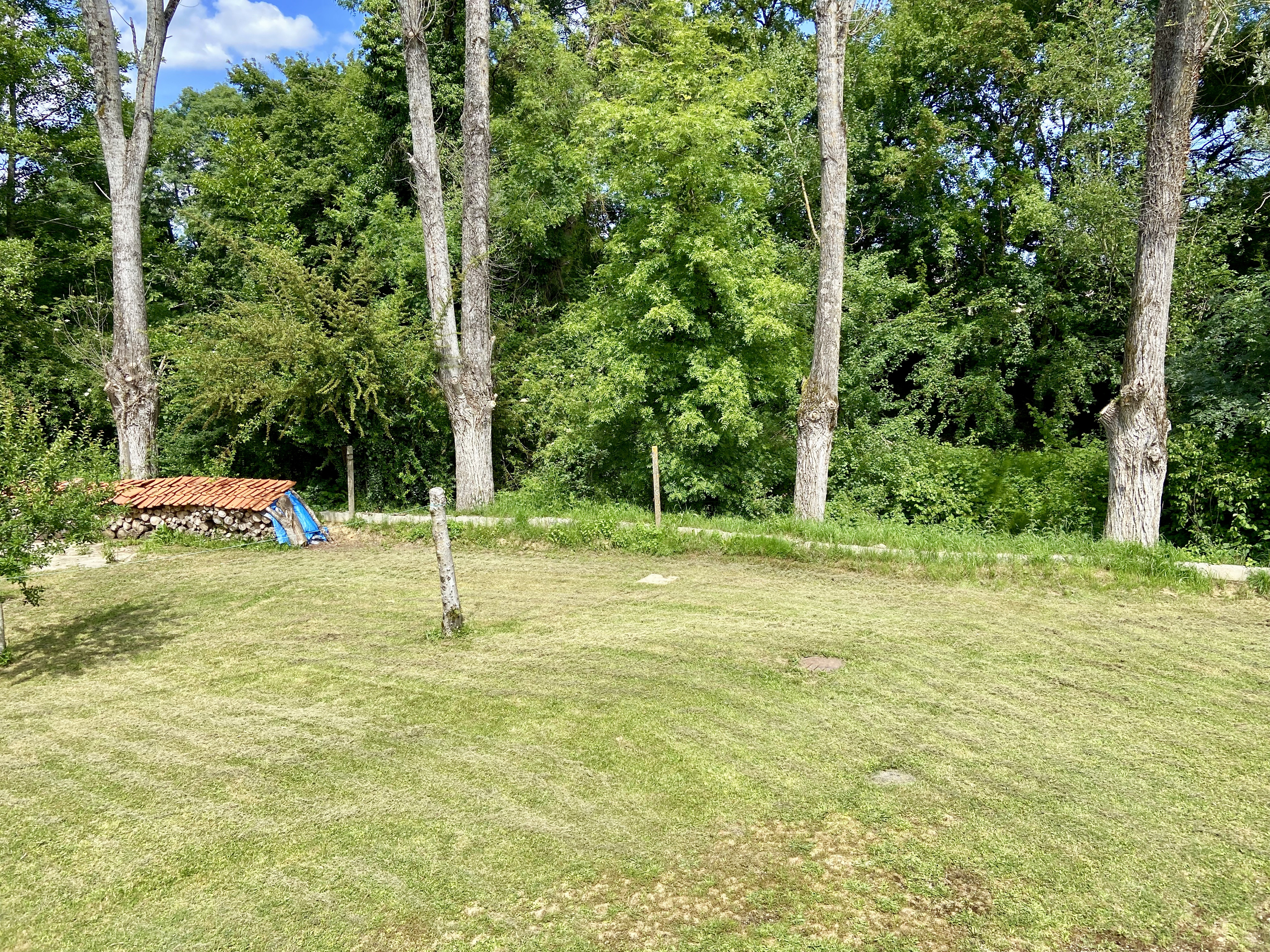 Main Photo