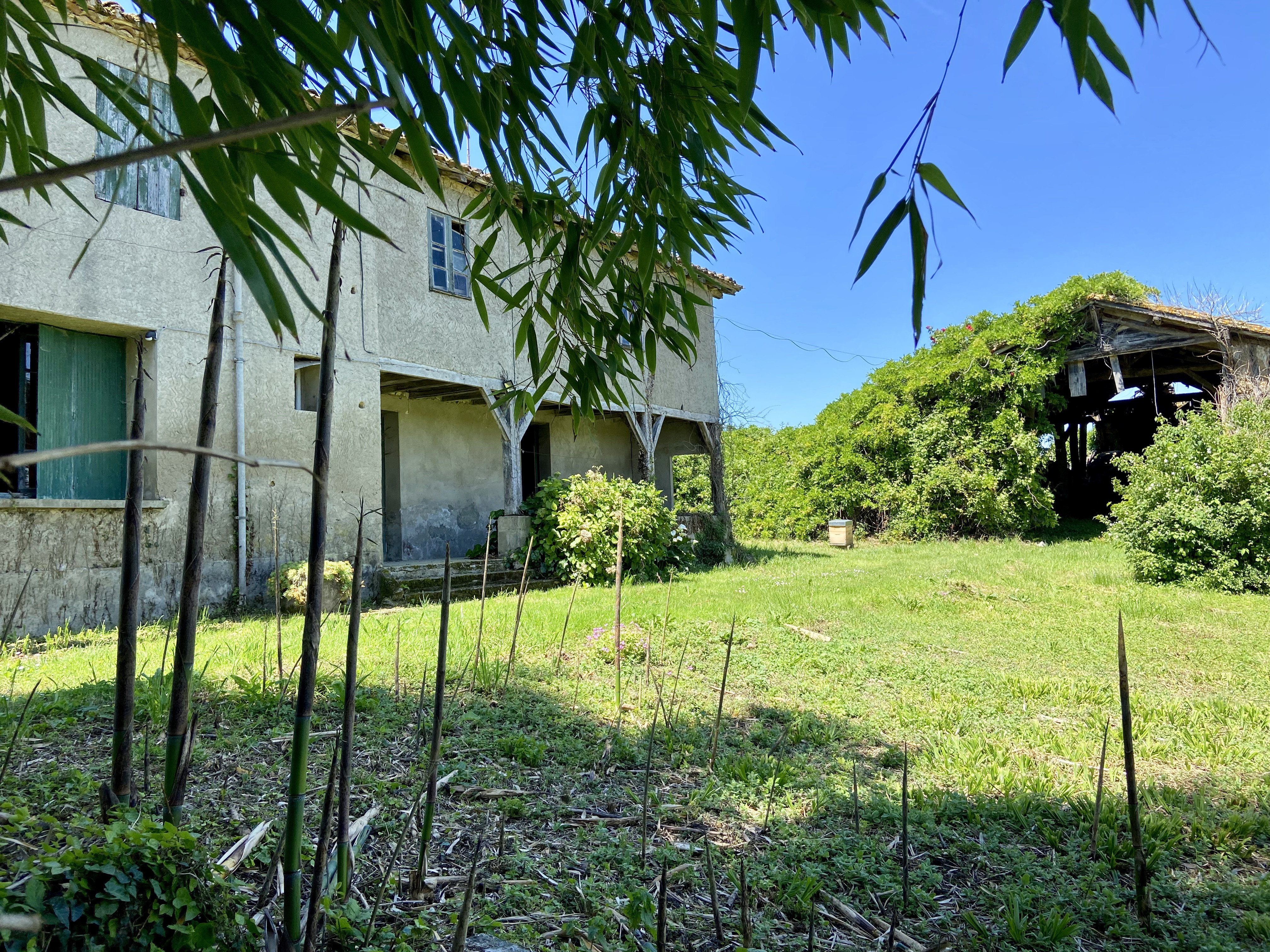 Main Photo