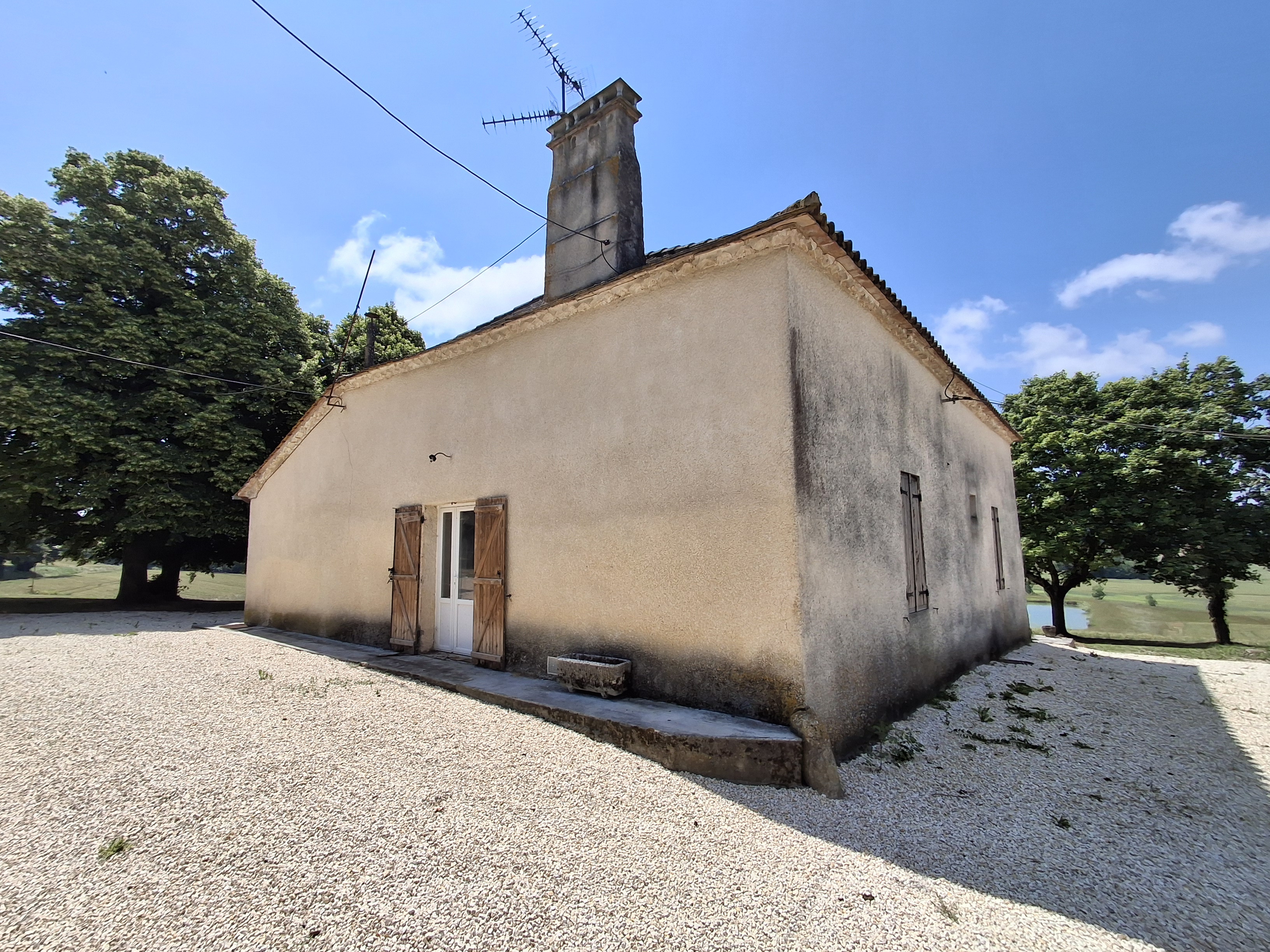 Main Photo