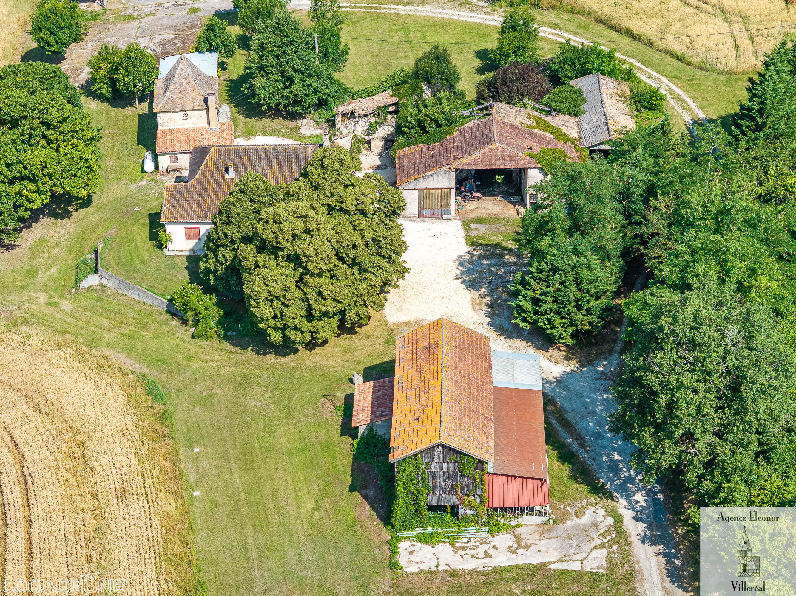 Main Photo