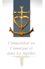 logo CAMARGUE ALPILLES IMMOBILIER