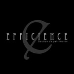 logo  EFFICIENCE