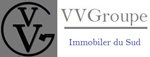 logo VV GROUPE
