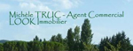 logo michele truc agent commercial look immobilier