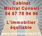 logo Mistral Conseil