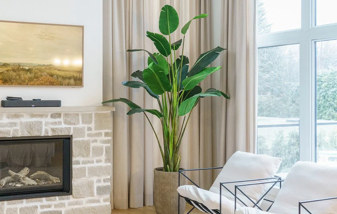 L'élégance du vert : comment intégrer les plantes dans sa décoration intérieure