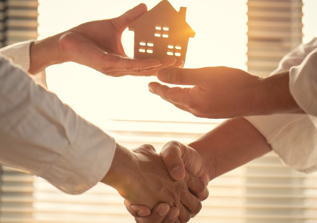Marché Immobilier : Un Mois de Janvier 2025 Remarquable
