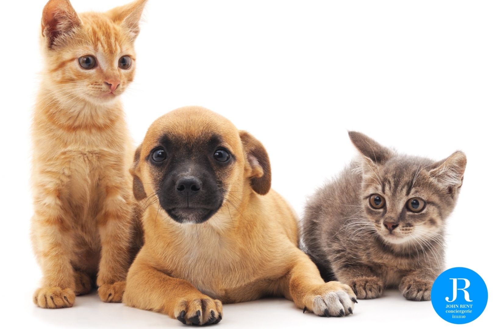 Votre animal est entre de bonnes mains