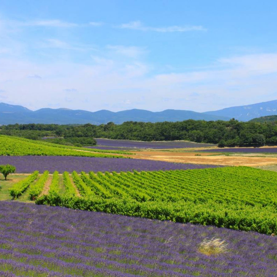 Découvrir la Drôme Provençale