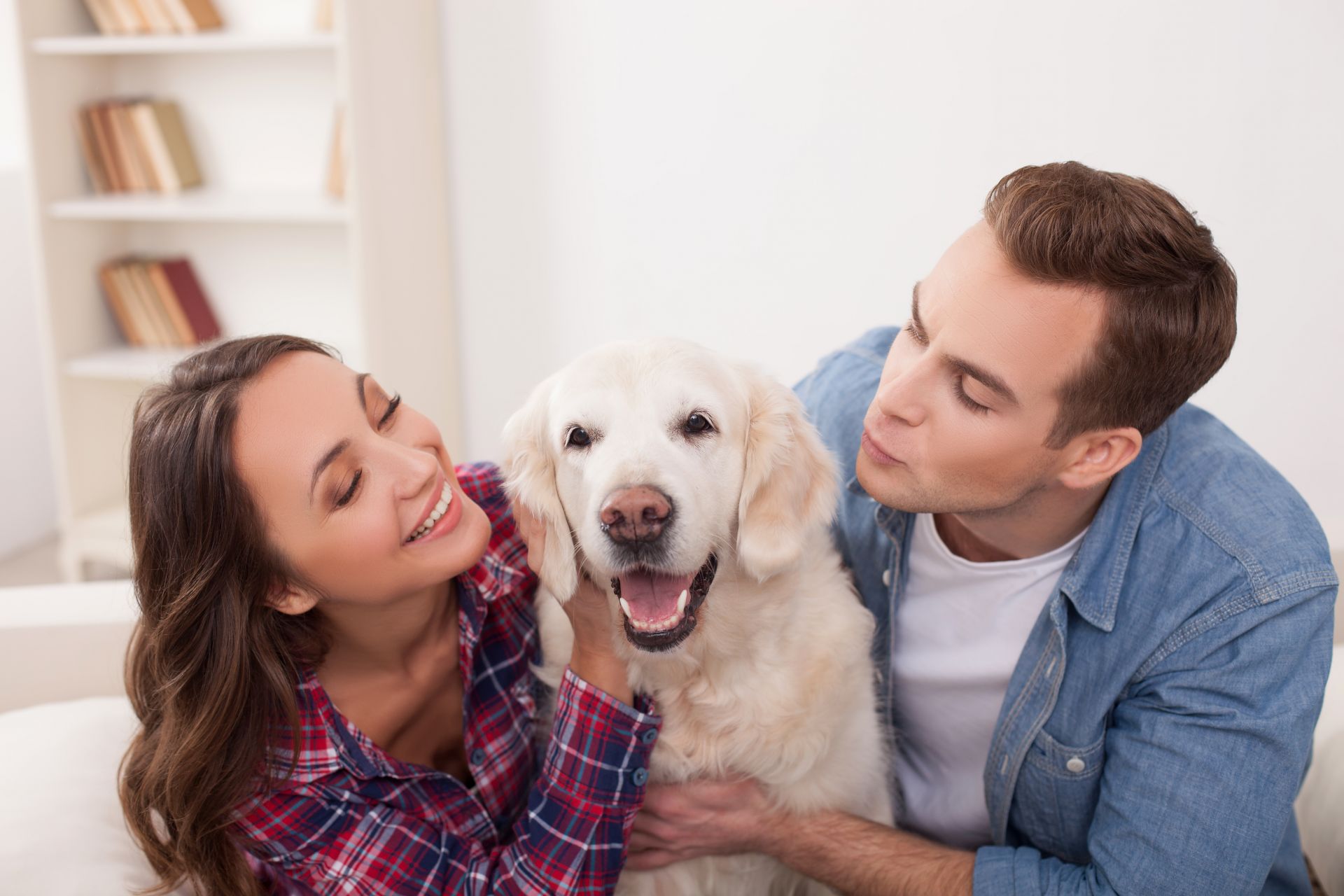 Votre animal, un compagnon au quotidien
